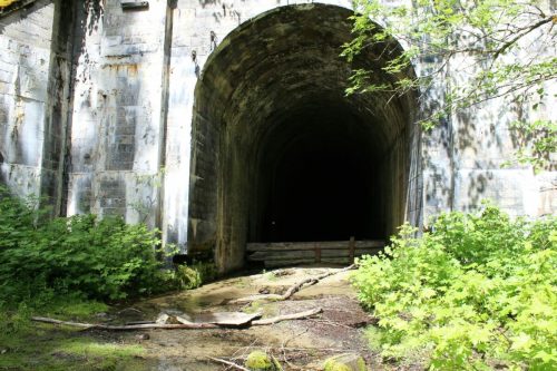 An abandoned stone tunnel entrance surrounded by greenery, leading into darkness.