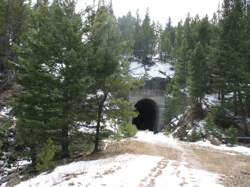 A snowy path leads to a dark tunnel surrounded by tall green trees and rocky terrain.