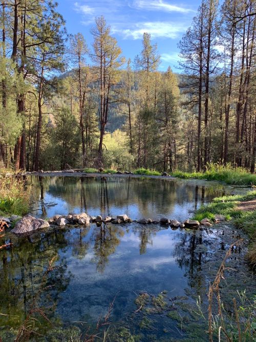 A serene pond surrounded by tall trees and lush greenery, reflecting the blue sky and distant hills.