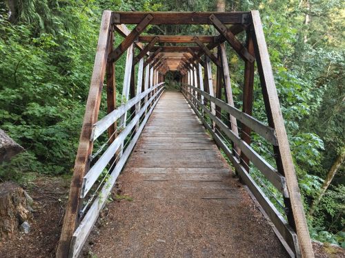 A wooden bridge surrounded by lush greenery, leading into a forested area.
