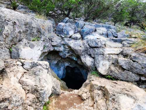 A rocky cave entrance surrounded by greenery, leading into a dark opening in the ground.