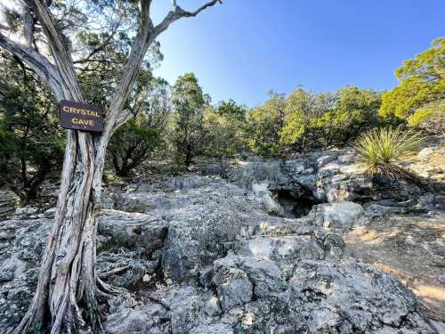 A rocky landscape with a sign reading "Crystal Cave" near a cave entrance, surrounded by trees and greenery.