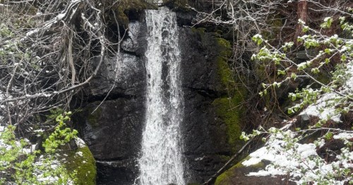 waterfall in the genoa trail system