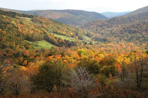 A vibrant autumn landscape with rolling hills covered in colorful foliage and a mix of trees in various shades of orange and yellow.