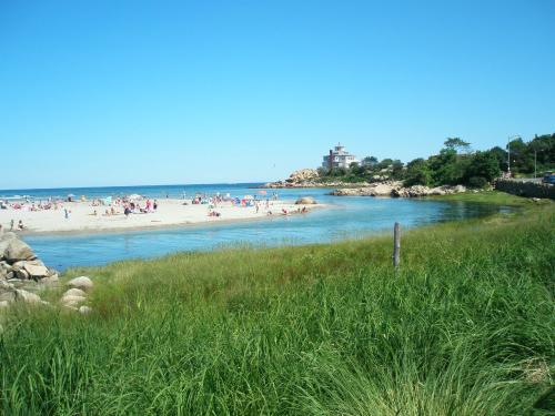 A sunny beach scene with people enjoying the water, surrounded by green grass and a distant house on a rocky shore.