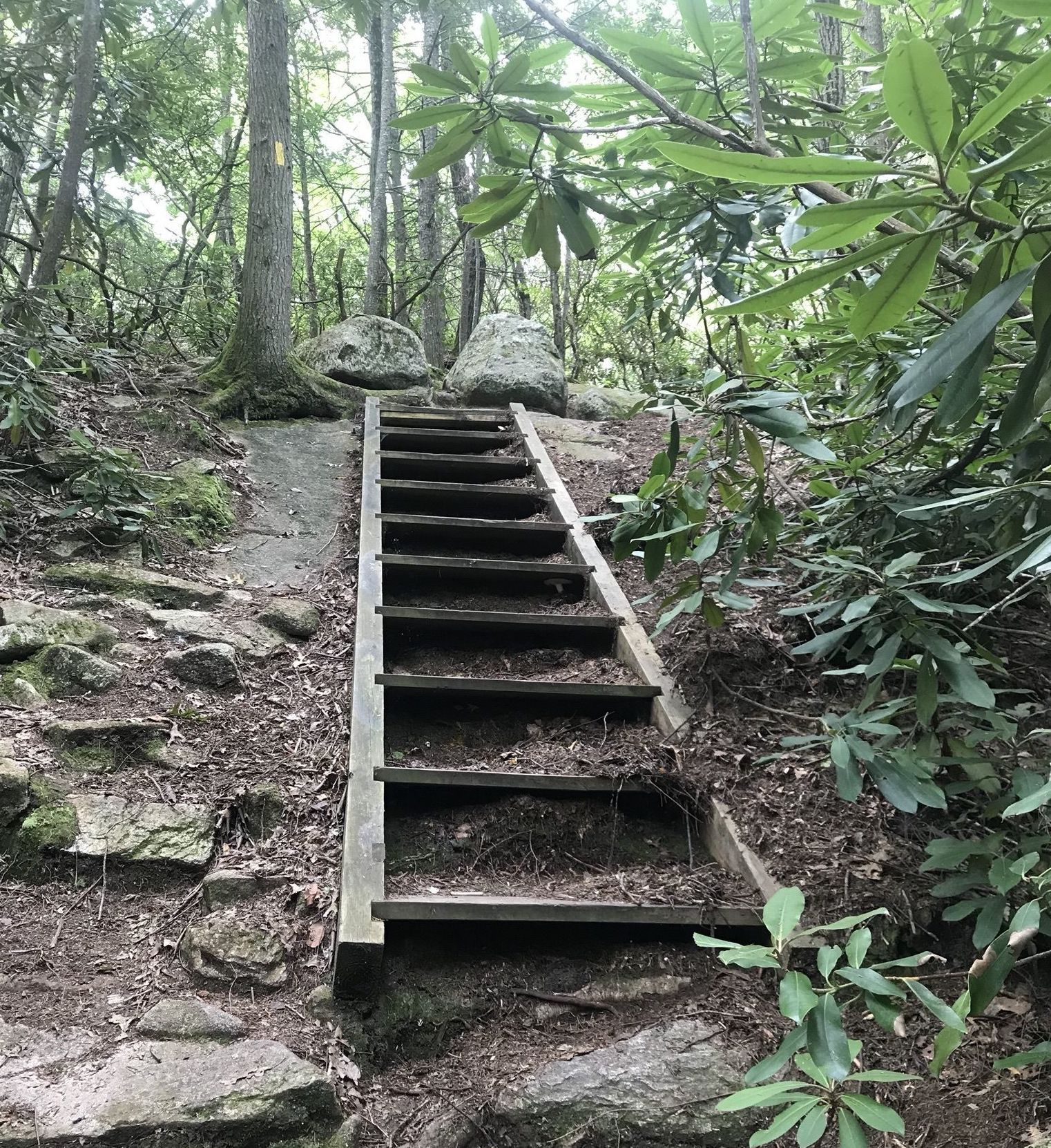 Long Pond Woods Trail Is A Difficult Hike In Rhode Island