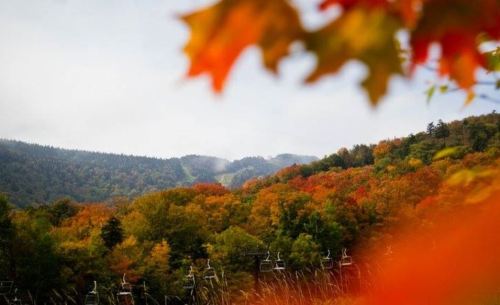 A vibrant autumn landscape with colorful trees and distant mountains, framed by orange and red leaves in the foreground.