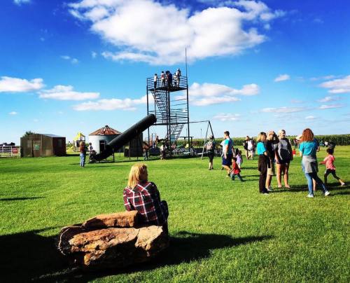A sunny outdoor scene with people enjoying a playground, a slide, and a viewing tower against a blue sky.