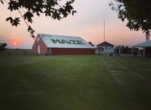 A red barn with "The Maze" painted on it, set against a sunset sky and green lawn.