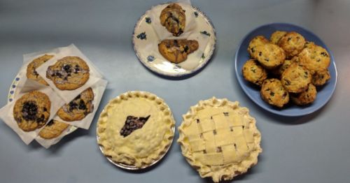 A variety of baked goods including cookies, muffins, and two types of pies on plates.