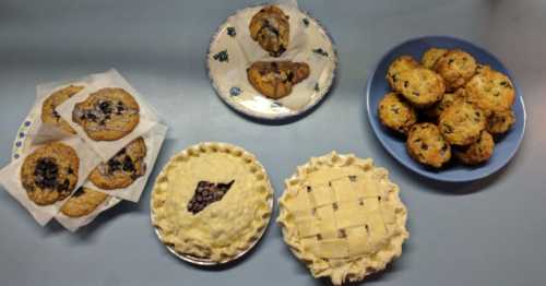 A variety of baked goods including cookies, muffins, and two types of pies on plates.