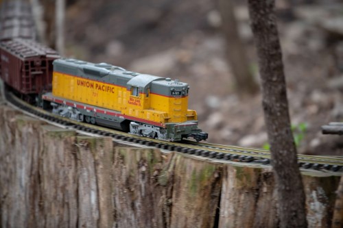 A model train with a yellow and gray Union Pacific locomotive travels along a track on a tree stump in a forest setting.