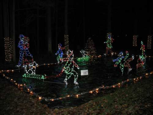 Colorful holiday lights depict a winter scene with people ice skating and a dog, surrounded by trees and festive decorations.