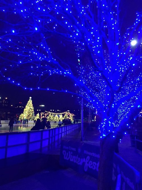 A tree adorned with blue lights frames an ice skating rink and a decorated Christmas tree in the background.
