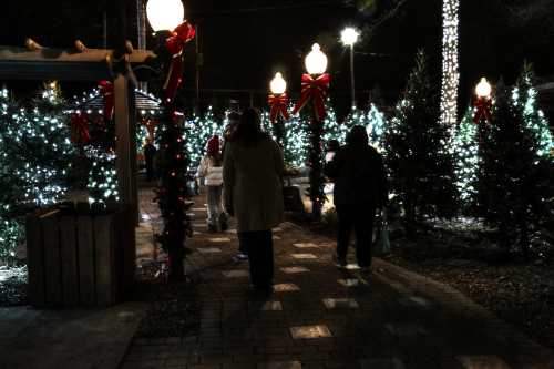 A festive night scene with people walking among decorated Christmas trees and lights, surrounded by holiday decorations.