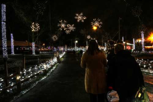 A group of people walks along a path illuminated by festive lights and snowflake decorations at night.