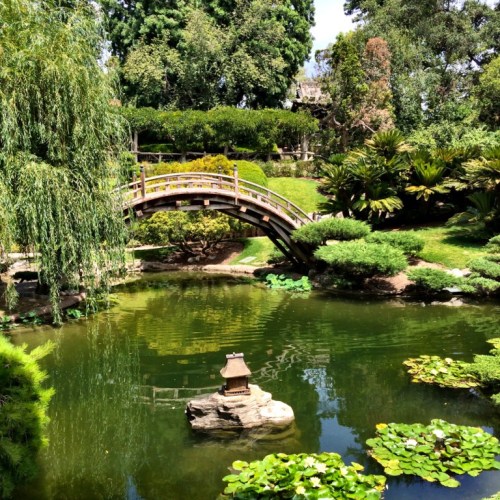 A serene garden scene featuring a wooden bridge over a pond surrounded by lush greenery and water lilies.