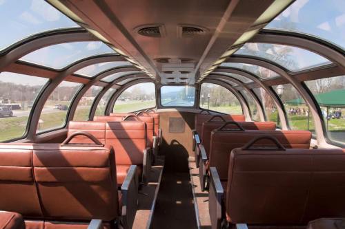 Interior of a train car with brown leather seats and large windows, showcasing a scenic view outside.
