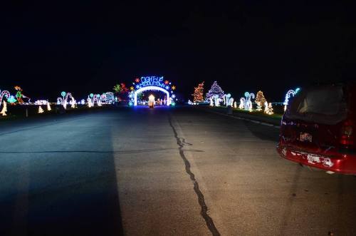 A festive display of colorful holiday lights along a dark road, with a decorated archway and trees in the background.