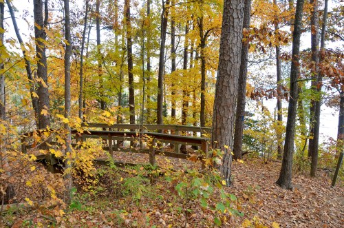 A wooden bridge surrounded by vibrant autumn foliage in a serene forest setting.