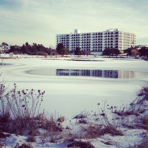 A snowy landscape with a frozen pond in the foreground and a modern building in the background.