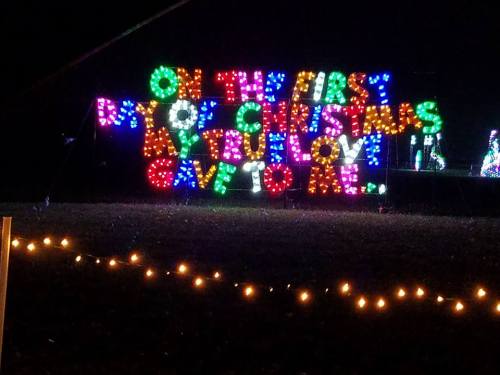 Colorful Christmas lights display with the text "On the first day of Christmas, my true love gave to me..."