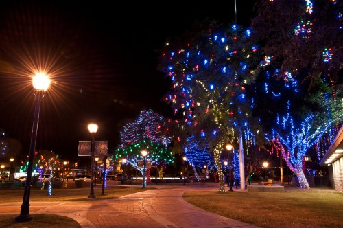 Colorful holiday lights adorn trees and lampposts in a park at night, creating a festive atmosphere.