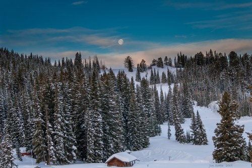 A serene winter landscape with snow-covered trees, a small cabin, and a full moon in a clear blue sky.