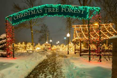 A snowy path leads through a festive Christmas tree forest, adorned with colorful lights and a welcoming arch.