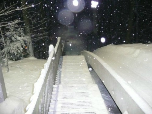 A snowy pathway leads into a dark, foggy forest, with snowflakes falling and a bridge in the distance.