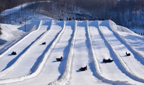 A snowy hill with multiple tubing lanes, featuring people sliding down on inflatable tubes. Trees in the background.