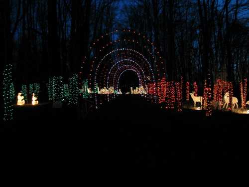 A pathway illuminated by colorful holiday lights, with decorated trees and festive figures in a dark forest setting.