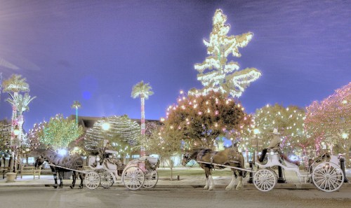A festive scene with horse-drawn carriages in front of brightly lit trees and decorations at night.