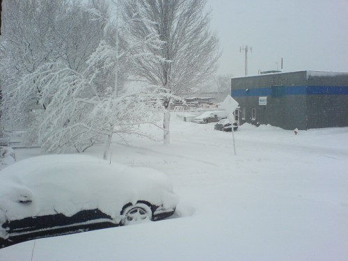 A snowy scene with a covered car, trees, and a building in the background, all blanketed in thick snow.