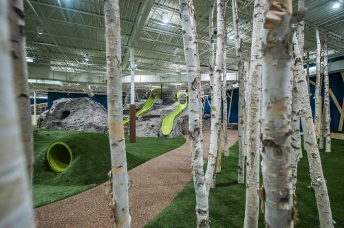 Indoor playground featuring green slides, rock formations, and birch trees, with a winding path on grassy terrain.