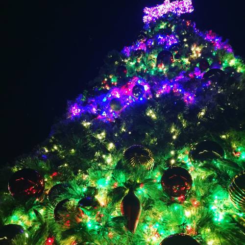 A brightly lit Christmas tree adorned with colorful ornaments and twinkling lights against a dark background.