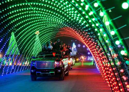 Cars drive through a colorful light tunnel, surrounded by festive trees and decorations during a holiday event.