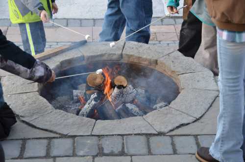 People roasting marshmallows over a fire pit with flames and smoke, surrounded by stone seating.