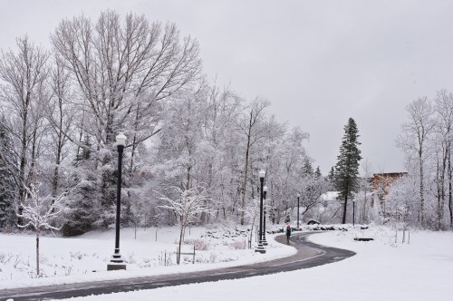 A snowy landscape with trees and a winding path, lined by lampposts, under a gray sky.