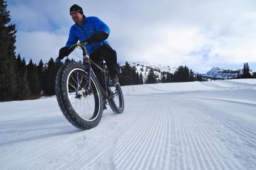 A person rides a fat bike on a snowy trail surrounded by trees and mountains under a cloudy sky.