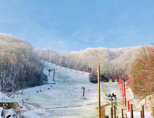 A snowy ski slope with red markers, surrounded by trees and a clear blue sky.