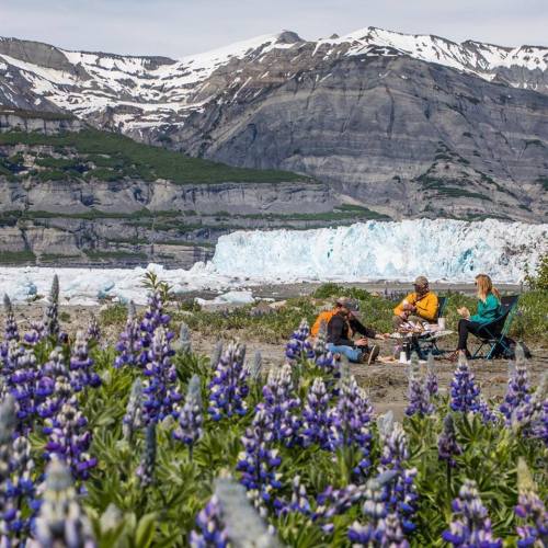 A group of people camping near a glacier, surrounded by vibrant flowers and mountains under a clear sky.