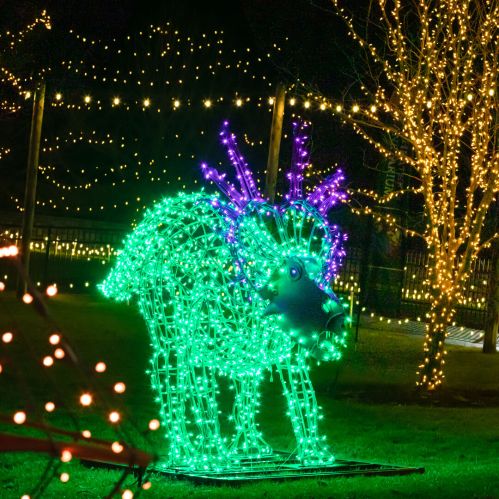 A glowing green reindeer made of lights stands in a festive display surrounded by twinkling lights.
