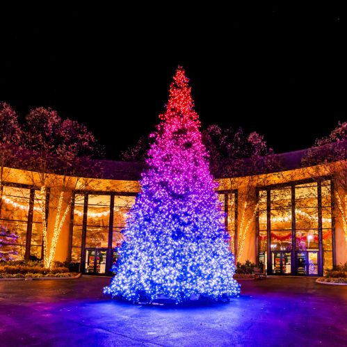A brightly lit Christmas tree with red and blue lights, surrounded by festive decorations at night.