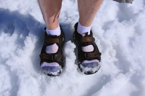 Person's feet in sandals with socks, standing on a snowy surface.