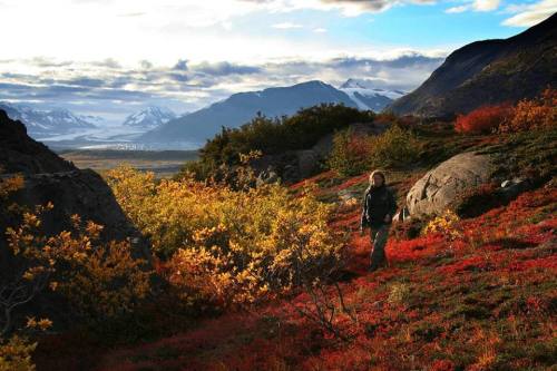 A person stands amidst vibrant autumn foliage with mountains and a cloudy sky in the background.
