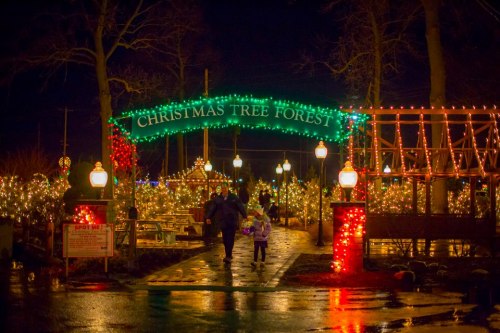 A festive entrance to a Christmas tree forest, illuminated with colorful lights on a rainy night.