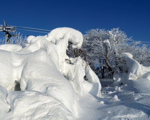 A snowy landscape with thick, sculpted snow covering trees and ground under a clear blue sky.