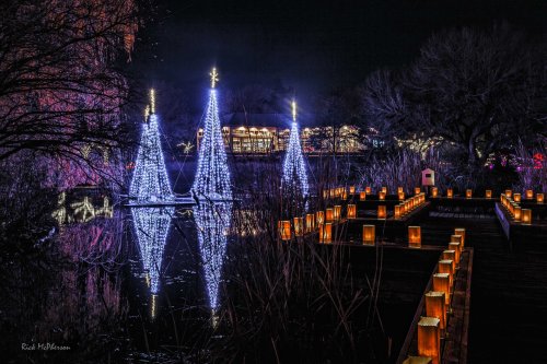 Three illuminated trees reflect in water at night, surrounded by glowing lanterns and a festive atmosphere.