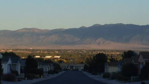 A quiet suburban street with houses, leading to distant mountains under a clear sky.
